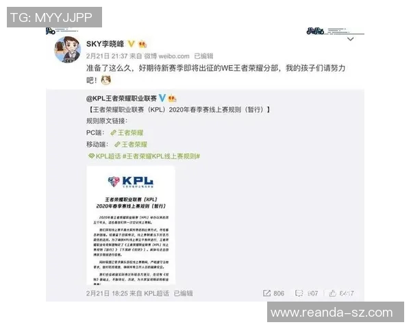 王者荣耀战术WE快攻体系解析与实战应用探讨